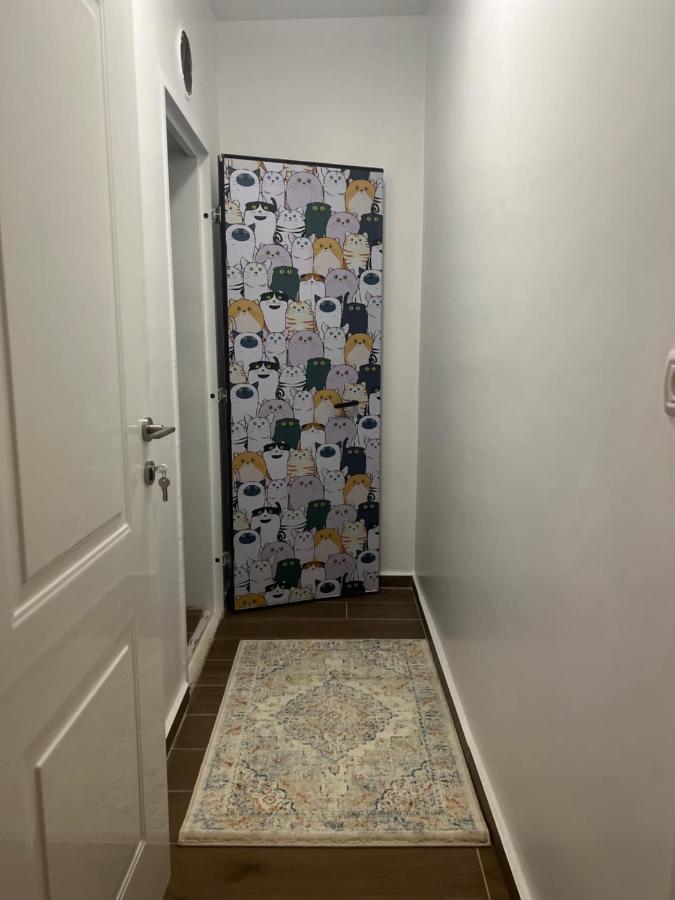 Lana'S Guest House Hurfeish エクステリア 写真
