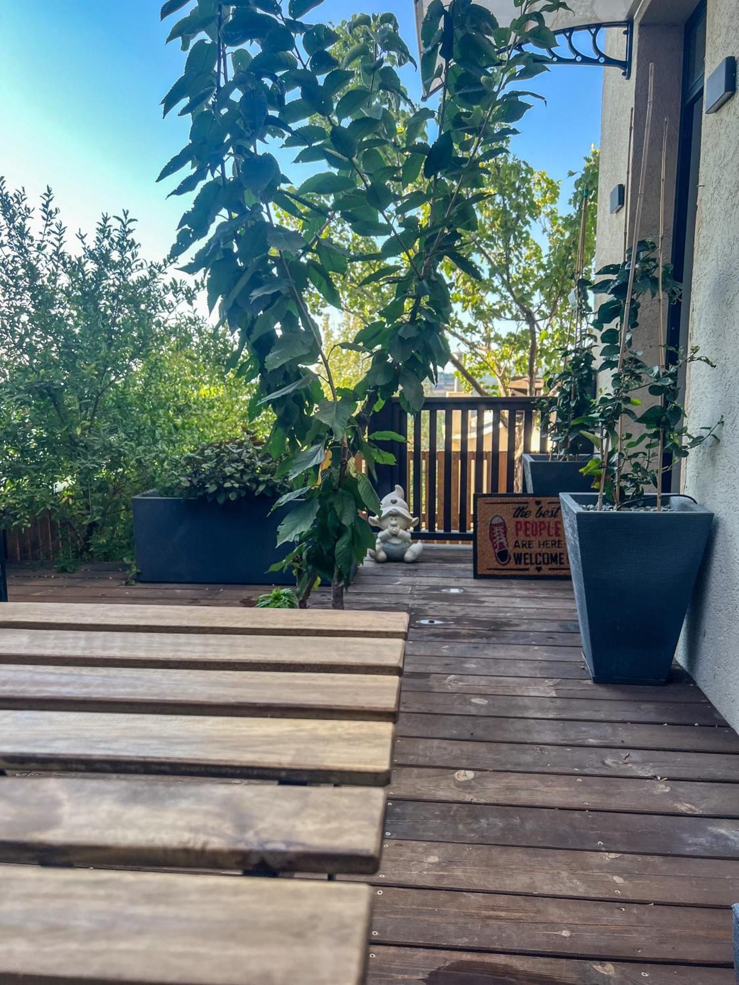 Lana'S Guest House Hurfeish エクステリア 写真